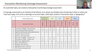 AML Account Surveillance Using Bulk Data Analysis—Present and Future