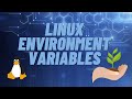 How to share environment variables in Linux across Bash, Python, .NET and more.