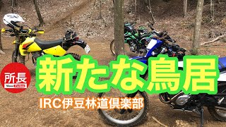 新たな鳥居の林道調査×WR155R with DR-Z \u0026D-TRACKER 2023-3-12【モトブログ】