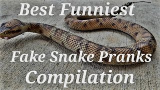 Best Hilarious Fake Snake Scare Prank Compilation Video