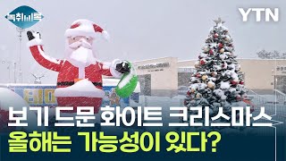 올해는 화이트 크리스마스 기대해도 괜찮다? [Y녹취록] / YTN