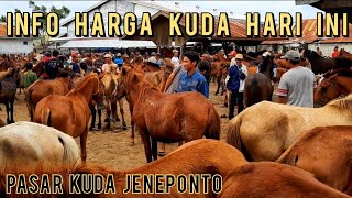 HARGA KUDA DI PASAR KUDA TOLO JENEPONTO HARI INI TANGGAL 16 JULI 2022 [UPDATE] | PASAR KUDA PART 36