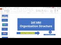 SAP MM- Organisation structure full explanation for MM users - Beginners and experienced level