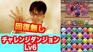 行っちゃってください！【チャレンジダンジョン】Lv6　光ホルスｘサクヤ　パズドラ　じゃじゃーん菊池