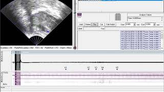 AAA219 Export selected annotations as textgrid for importing into different copy of project