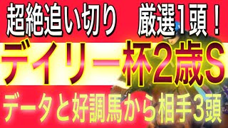 デイリー杯2歳ステークス　2020 追い切り評価　超絶軸馬1頭と相手3頭　過去の傾向【競馬予想】