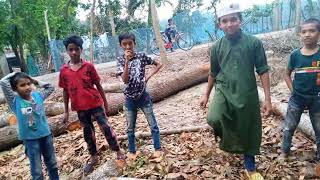 চাপাবাজী করতে গিয়ে ধরা খেল || #bts #funnyvideo #shortvideo #tiktok