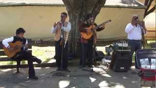 Traditional Chilean Music in Puerto Varas