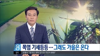 [대전MBC뉴스]처서···그래도 가을은 온다