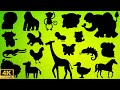 Guess the shadow of the animals quiz| shadow game| learning animals video for kids |Family FunTime!