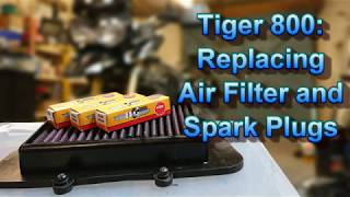 Tiger 800 Service Part 3 - Changing Air Filter and Spark Plugs