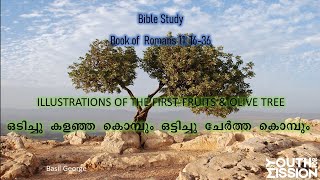 23. Bible Study on Romans 11:16-36 | Israel's restoration | Basil George | Youth For Mission