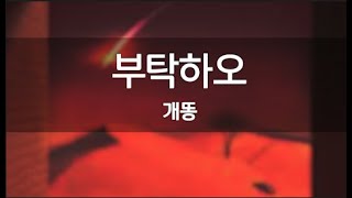 개똥 - 부탁하오 MR 노래방버전 // 비공식 노래방 가사