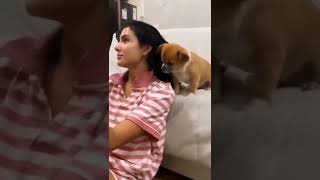 how cute reaction of lil puppy 😍🤗🤗