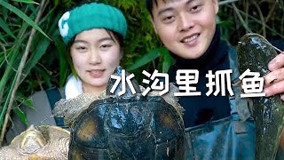 【戶外捕魚VLOG】魚塘被大水沖垮了，帶表妹去旁邊水溝裏抓魚，沒想到裏面有...#三農