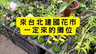 2022年1月9日 今天來到台北建國花市啦 每次到建國花市必到901攤位！ 上次來是一年前？