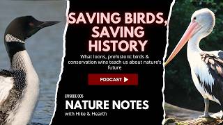 5 Prehistoric Birds You Can See Today + Recent Conservation Successes!