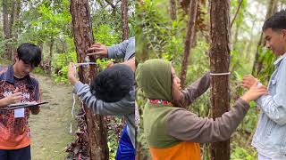 Teaching Youth the Value of Pine Trees