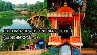 ശാർങ്ങക്കാവ് (ചാമക്കാവ്), വെണ്മണി, ആലപ്പുഴ Sarngakkavu/ Chamakkavu Temple, Venmony, Alappuzha