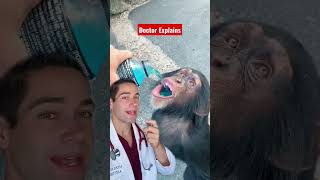 Monkey Drinking Powerade? Doctor Reacts #doctor #shorts