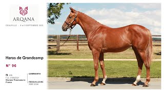 Arqana 2022.09 - N° 96 - F. / Gammarth x Resquilleuse / Dehere présentée par le Haras De Grandcamp