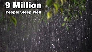 I want you to sleep well tonight 😴 Heavy rain and thunderstorm sounds in tropical forest 🌧️ Rain