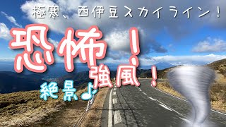 【ロードバイク】恐怖！強風！落車寸前！西伊豆スカイライン！ / ロードバイクで行く伊豆のおすすめコース🚴‍♂️