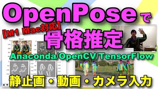 【M1 Mac】OpenPoseで骨格推定 Tensorflow 2.x版