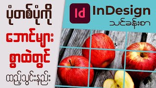 InDesign မှာ ပုံတစ်ပုံကို ဘောင်များစွာထဲတွင်ထည့်သွင်းနည်း