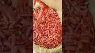 dandi cut red chilli