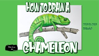 How to Draw a Chameleon in Easy Steps Video