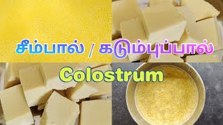 Milk Cake in pressure cooker | சீம்பால் | கடும்புப்பால் | Colostrum | Yamuna's Diary