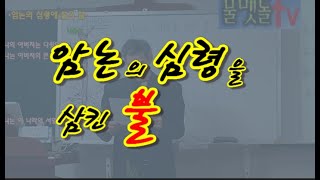 암논의 심령을 삼킨 불/詩(시)는 설명 난에 있습니다.