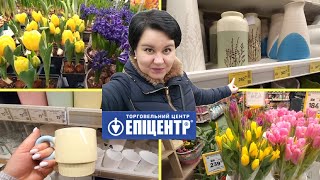 ЕПІЦЕНТР 🟣ХТО забув купити квіти? 🌷Живі квіти, вази та товари для дому та затишку. Шопінг влог