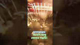 মাশাআল্লাহ বিদেশি আলু তোলার পদ্ধতি। #আলহামদুল্লিলহ #বিদেশী #বিদেশে #বিদেশ #প্রবাসী #আলু #প্রকৃতি