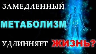 Замедленный МЕТАБОЛИЗМ продлевает жизнь? Юлона Стоянова и Игорь Биопатриот