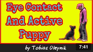 Build eye contact while keeping puppy active | Online Dog Training by Tobias Oleynik