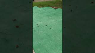 Grotrax Biodegradable Grass Mat Review - Day 3