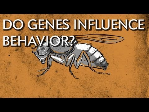 How does heredity affect us?