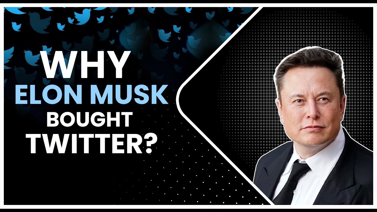 Why Did Elon Musk Buy Twitter A Twitter Case Study Youtube