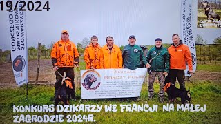 Konkurs dzikarzy we Francji na małej zagrodzie.CZARNE DUCHY ZNAD WISŁY FCI.19/2024. #dog #wildboar