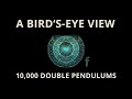 Bird's eye View - An animation of 10,000 double pendulums doing their thing.