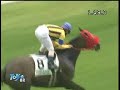 競馬　ダンスオールナイト 2勝目