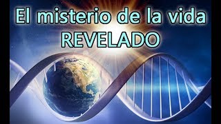 Científicos Revelan al Mundo Como Comenzó la Vida en la Tierra