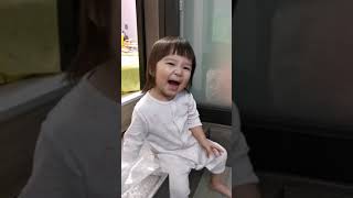 爆笑 浮誇bb玩圓摺扇 允豬 bb來了 funny cute baby funny kids lol