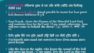 Path Sri Guru Granth Sahib Ji Ang 455-Page 455 Learn Slowly