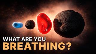 The Air You Breathe | What Are You Really Breathing Every Day?