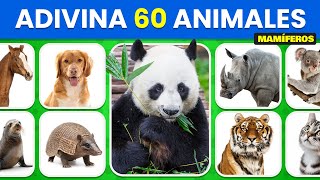 Adivina 60 ANIMALES MAMÍFEROS 🦁🐘🐻 - De Principiante a EXPERTO🧠🌍