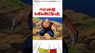 ムキムキベジット #ドラゴンボール