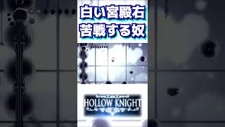 白い宮殿の右側に苦戦する奴【HOLLOW KNIGHT】#shorts